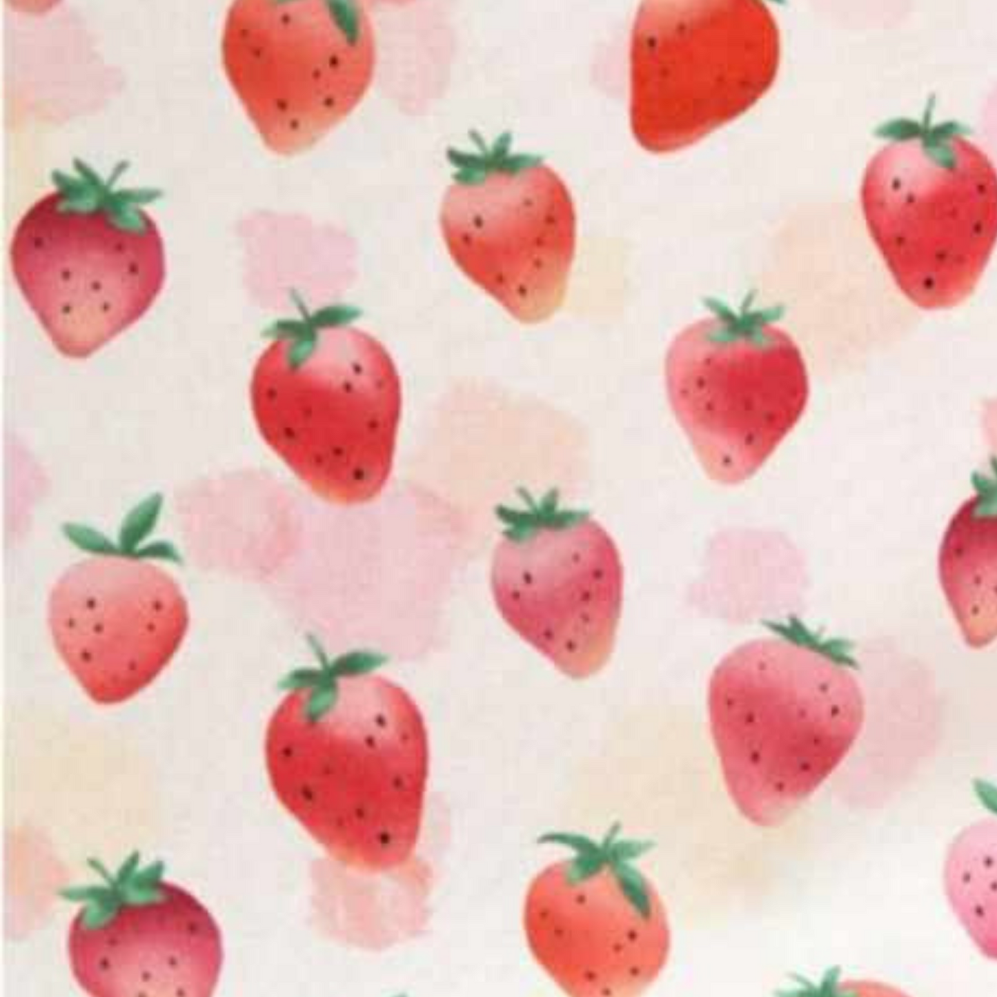 Strawberry shortcake Forever Scrunchies 🍓